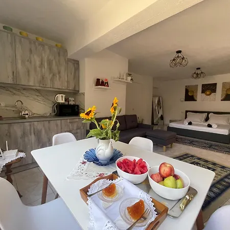 Apartment Travellers Gjirokaster
